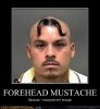 forehead stash.jpeg