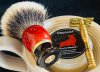 sotd15.04.23.jpeg