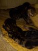123_1_20230420_171729.jpeg