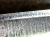 20230501_121518.jpg