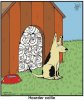 hoardercollie.jpg