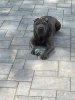IMG_4975.jpeg