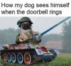 IMG_5001.jpeg