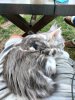 IMG_1690958155409.JPEG