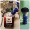 Brush collage September 16 2023.jpg