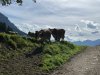 IMG_0445.jpeg