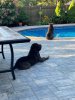 IMG_5435.jpeg