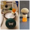 Brush collage October  27 2023.jpg
