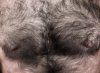 360_F_155293642_SXiFybUkyaMKIhPJW7GbiggMqfMNT3Nl.jpg