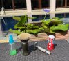 IMG_4049.jpeg