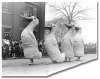 big_ducks_bw_520.jpg