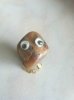 pet rock.JPG