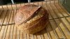 IMG_8159.jpeg