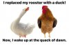 IMG_0697.jpeg