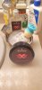 SOTD Januray 31 2024.jpg