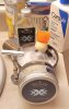 SOTD Febuaruy 16 2024.jpg