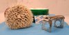 SOTD_042124_1.jpg