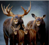 Moose fro den.png