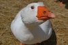 dsc_0131_edited.jpg