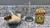 IMG_0275.jpeg