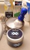 SOTD June 19 2024.jpg