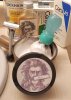 SOTD July 14 2024.jpg