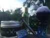 IMG_20240731_073511.jpg