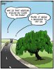 IMG_0911.jpeg