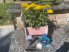 IMG_6541.jpeg
