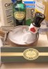 SOTD December 18 2024.jpg