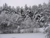 IMG_3237a.jpg