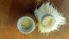 2012-08-15_16-30-05_136.jpg