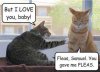 FleasSamuelYouGaveMeFleas.jpg