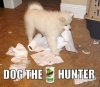 DogTheBountyPaperTowelHunter.jpg
