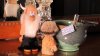 Lions Head SOTD 01R.jpg