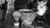 Vie Long SOTD 02R B&W.jpg