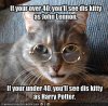 DAMN-Cats-are-Funny-animal-humor-4133527-350-346.jpg