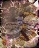 uploadfromtaptalk1346621197350.jpg