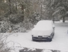 snow.png
