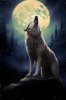 17176573_wolf-moon-howling-renaissance-painting-1204443581.jpg