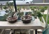 IMG_2025-04-26-125022.jpeg