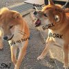 bork_bork_doggo_by_snakekiller9119_dawwtho-fullview-664379122.jpg