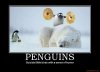 Demotivational-Posters-Animals-3.jpg