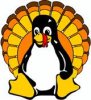 notturkey2.jpg