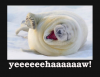 yehaaa1.png