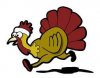 runningturkey.jpg