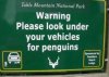 carpenguin.jpg