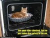 indaoven.jpg