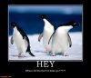 ImageUploadedByTapatalk HD1353679027.655116.jpg
