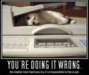 faxcat.jpg